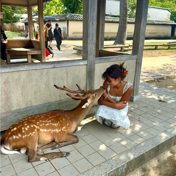 Meet your Posher, Elena - Picture 8 of 12